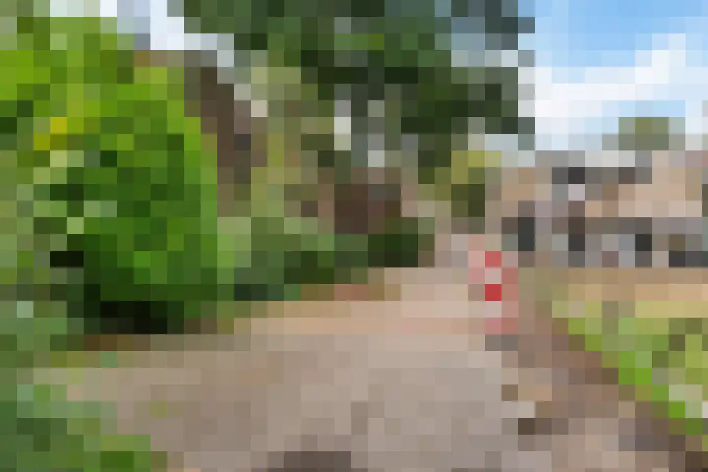 Paardenmarkt 15 Schoorl thumbnail 6