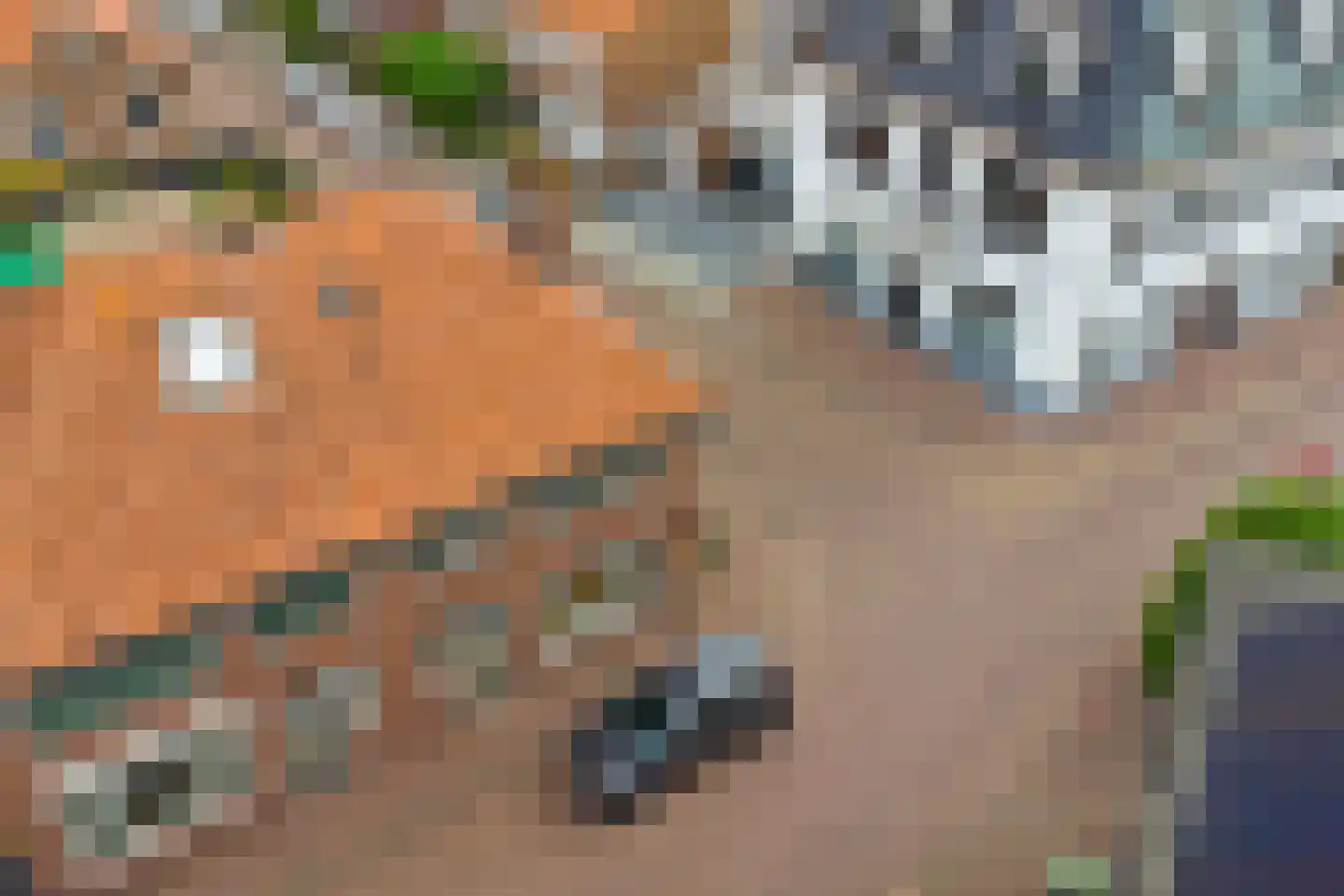 Paardenmarkt 15 Yerseke thumbnail 39