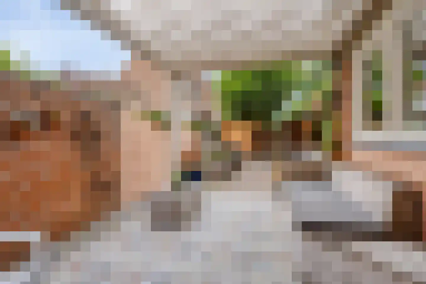 Paardenmarkt 16 Hulst thumbnail 27