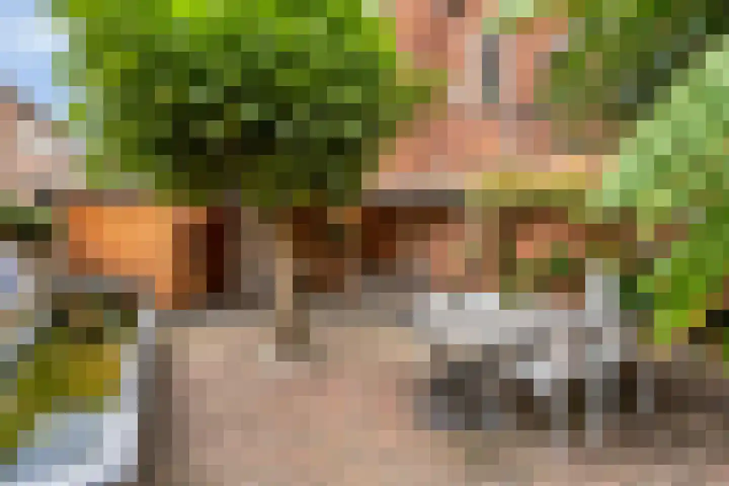 Paardenmarkt 16 Hulst thumbnail 29