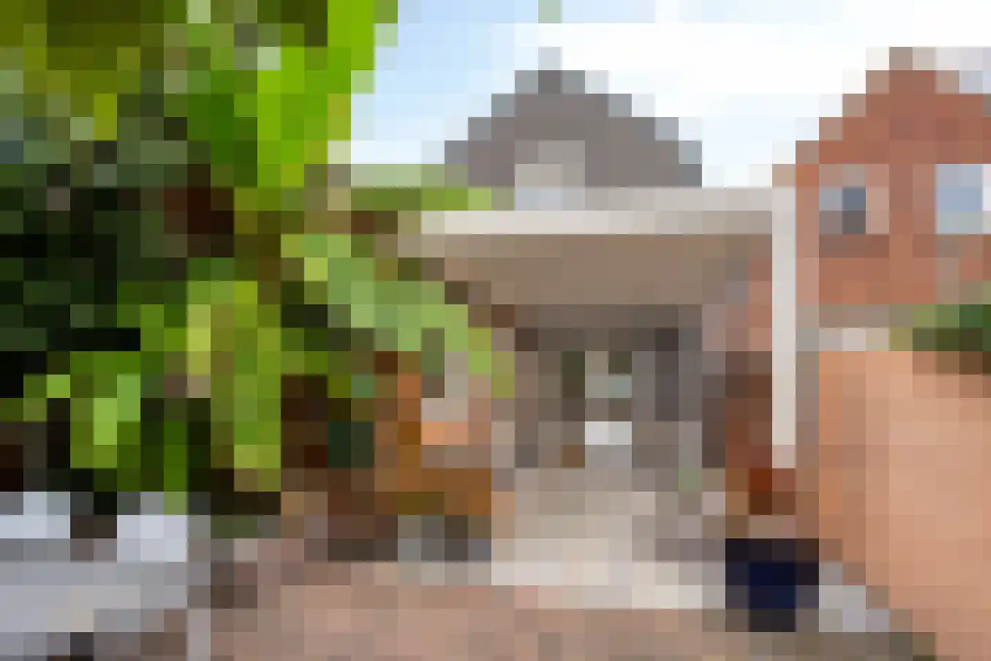 Paardenmarkt 16 Hulst thumbnail 5