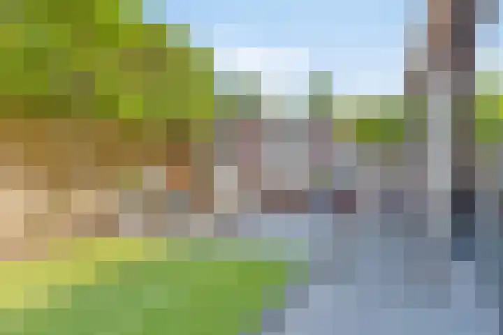 Paardenmarkt 26 Bakel thumbnail 32