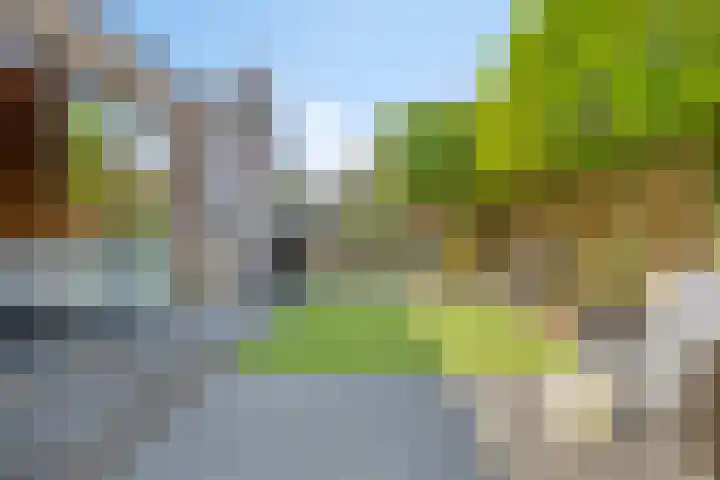 Paardenmarkt 26 Bakel thumbnail 33