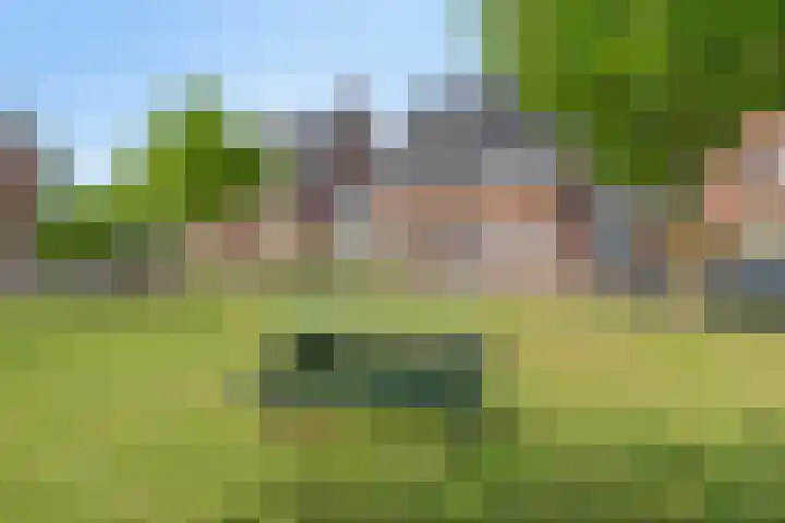 Paardenmarkt 26 Bakel thumbnail 36