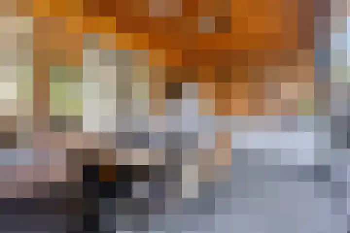Paardenmarkt 26 Bakel thumbnail 4