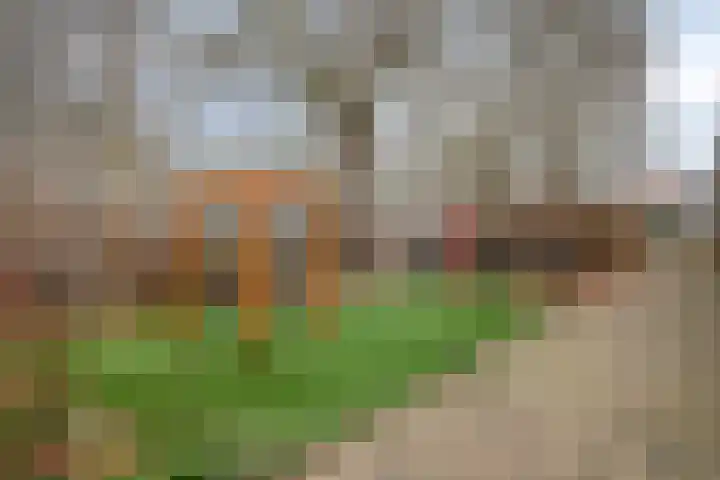 Paardenmarkt 36 Delft thumbnail 6