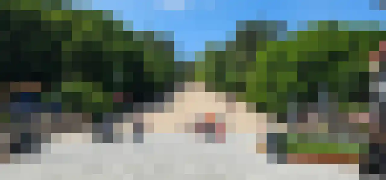 Paardenmarkt 39 Schoorl thumbnail 32