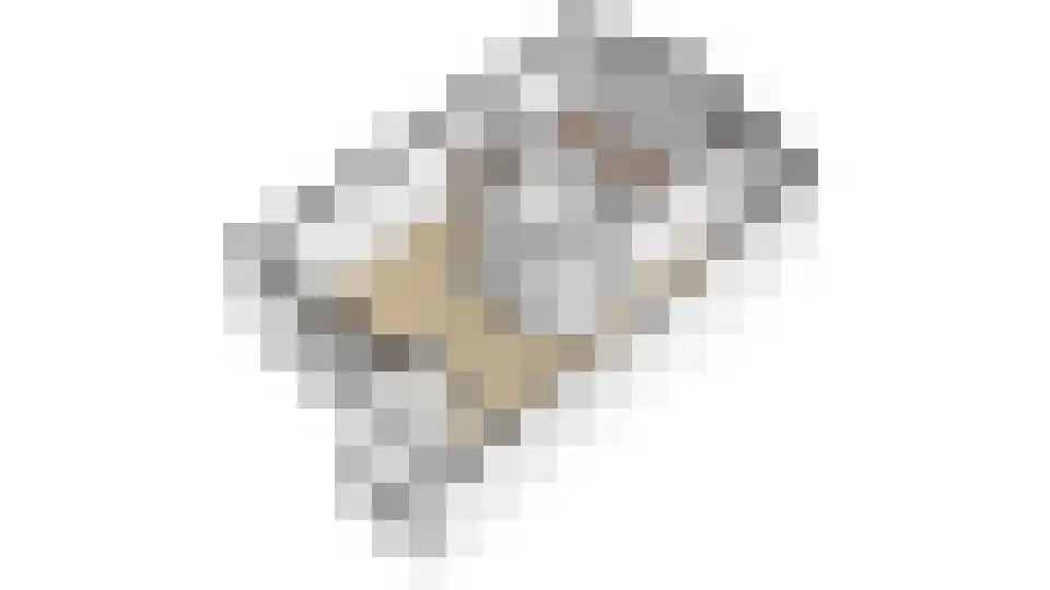 Paardenmarkt 39 Schoorl thumbnail 36