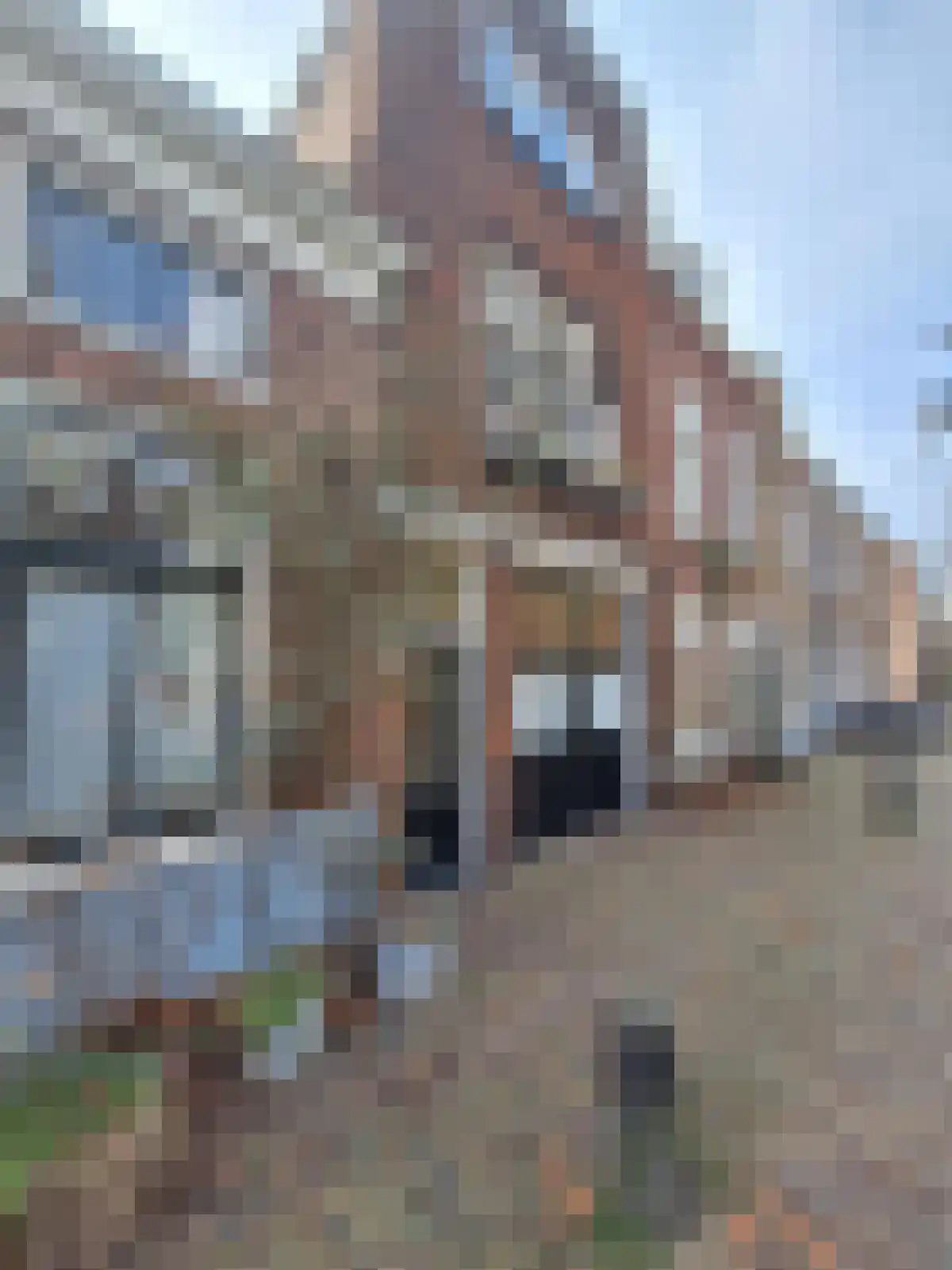 Paardenmarkt 42 Delft thumbnail 5