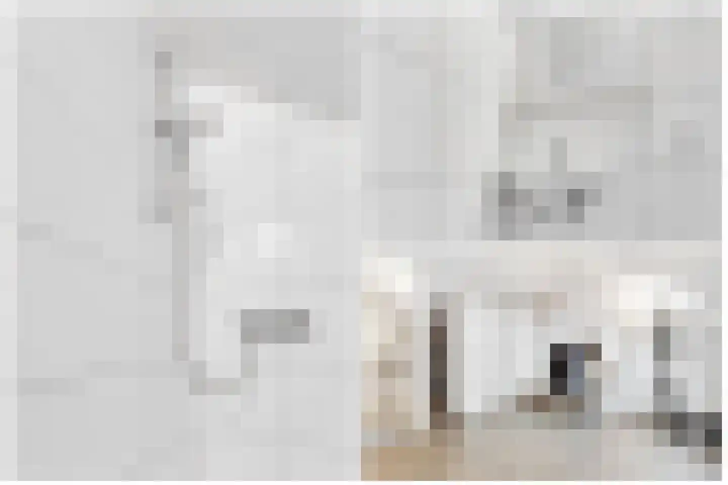 Paardensprongstraat 11 Utrecht thumbnail 18