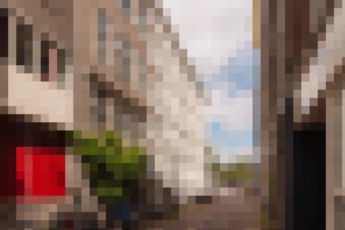 Paardenstraat 2 H Amsterdam thumbnail 23