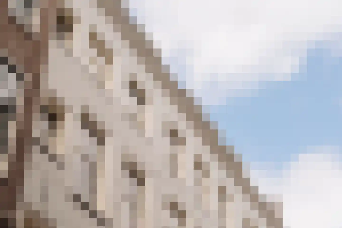 Paardenstraat 2 H Amsterdam thumbnail 24