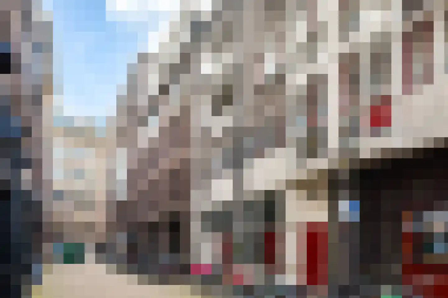 Paardenstraat 20 Amsterdam thumbnail 14