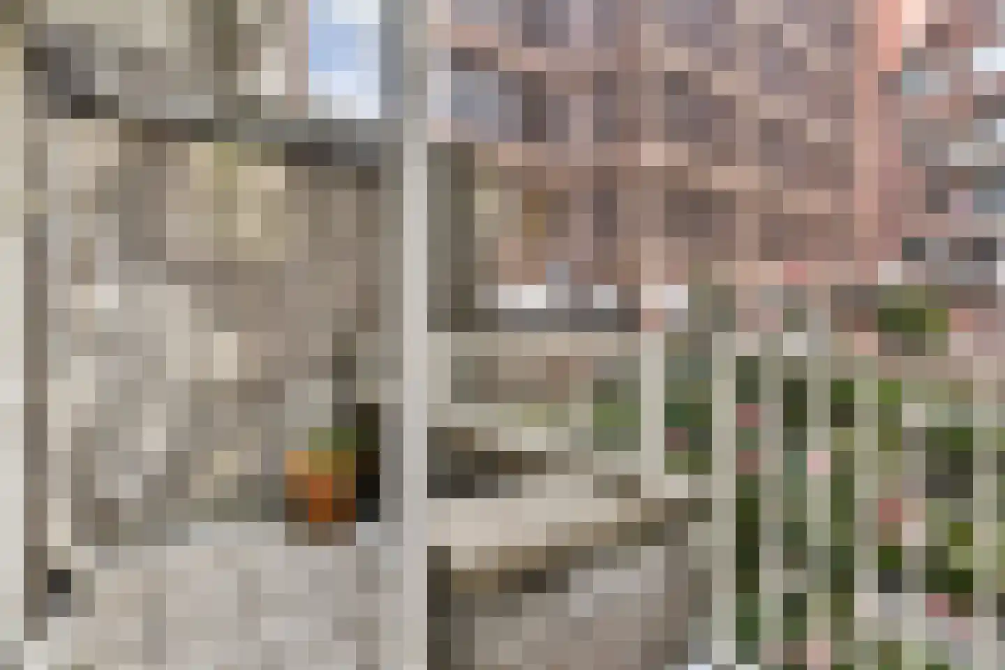 Paardenstraat 20 Amsterdam thumbnail 8