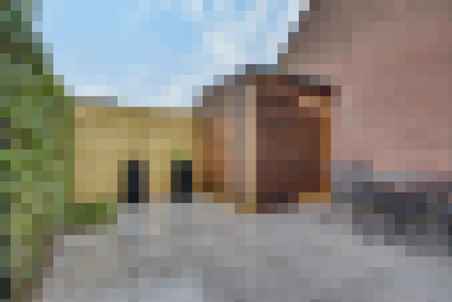 Paardenstraat 47 Hilvarenbeek thumbnail 21