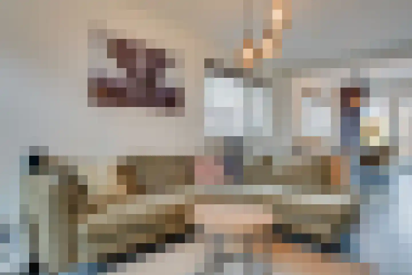 Paardenstraat 47 Hilvarenbeek thumbnail 6