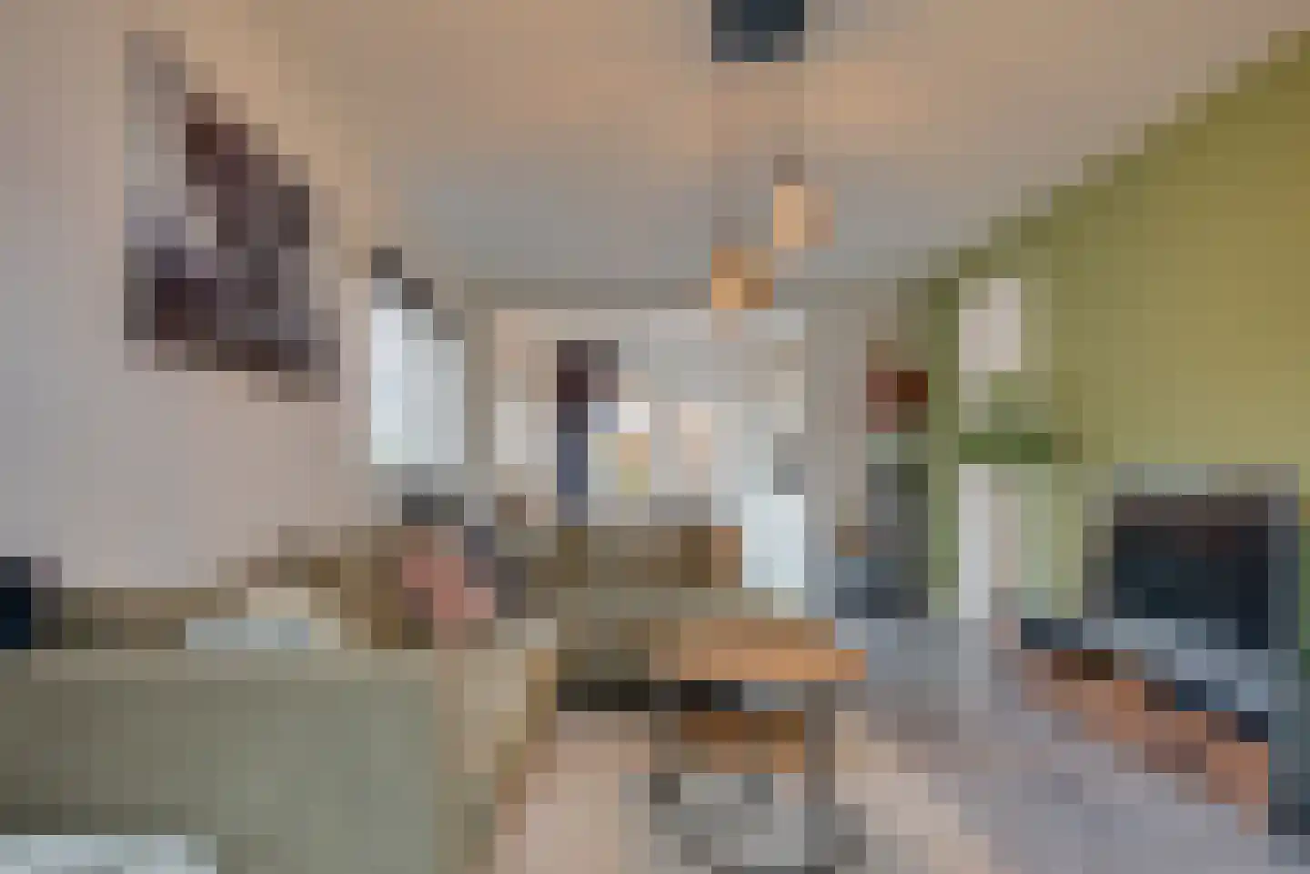 Paardenstraat 47 Hilvarenbeek thumbnail 7