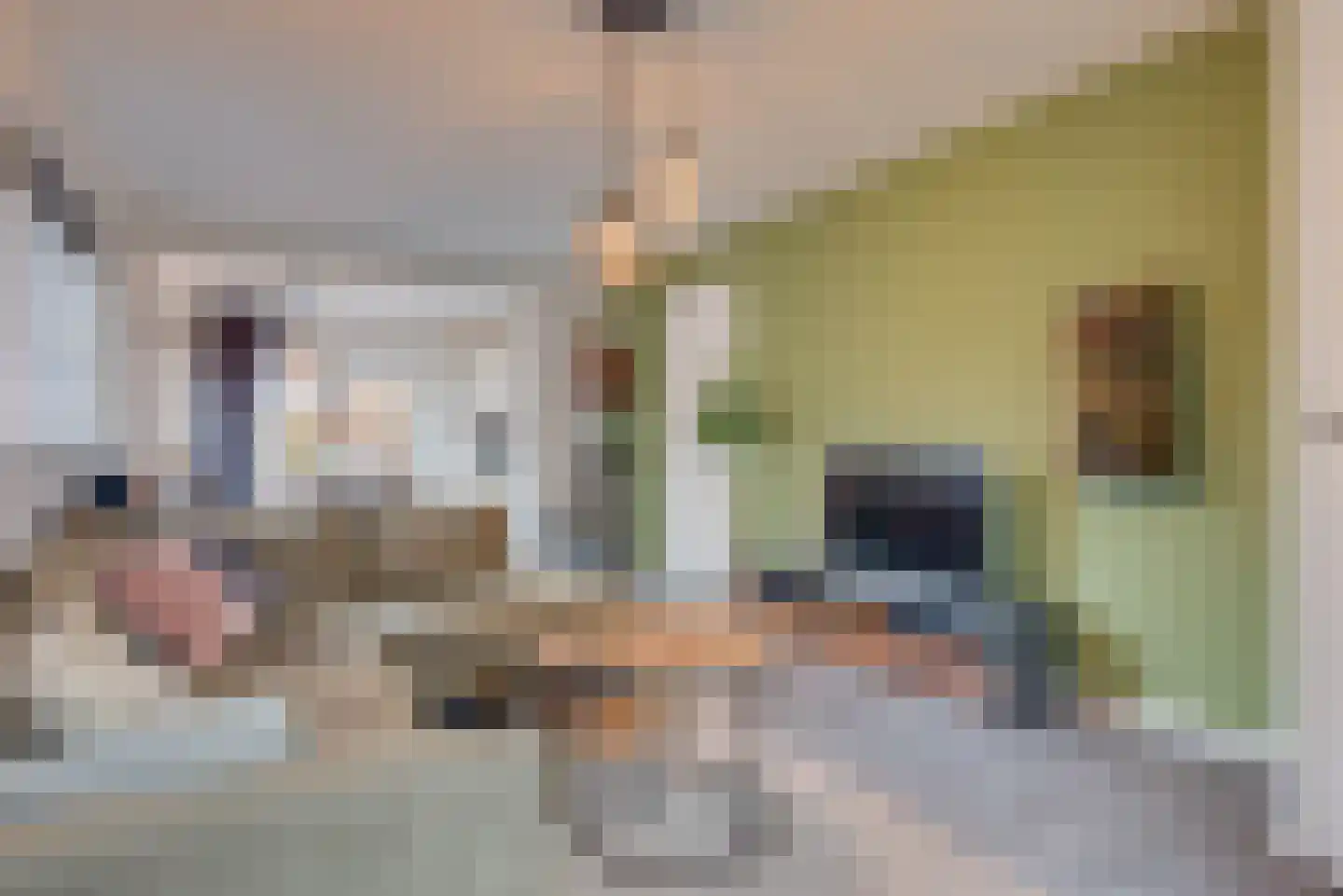 Paardenstraat 47 Hilvarenbeek thumbnail 8