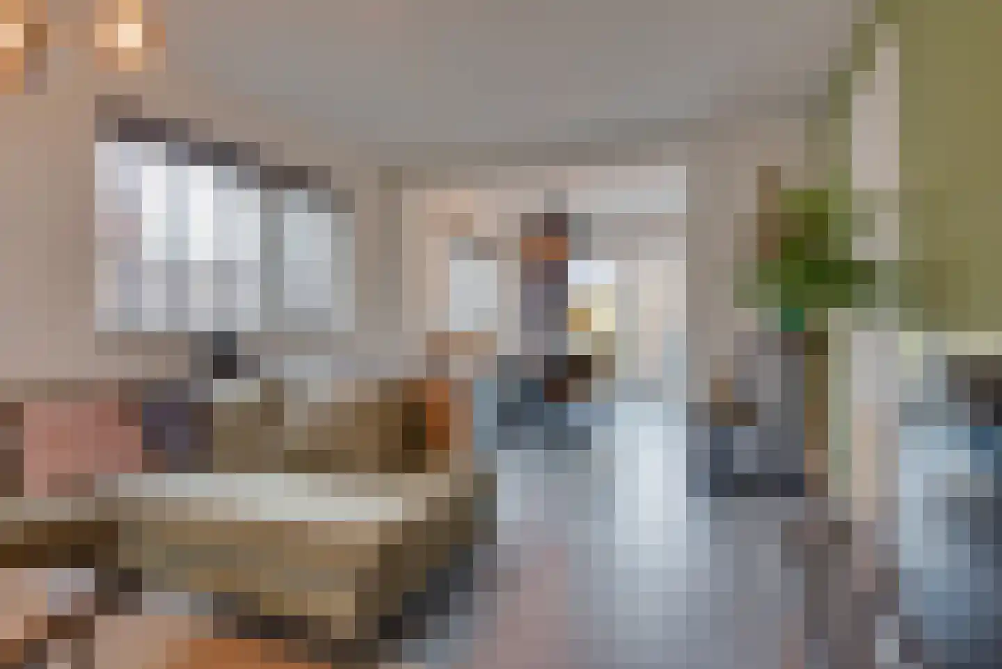 Paardenstraat 47 Hilvarenbeek thumbnail 9