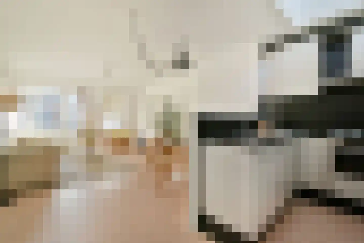 Paardenstraat 64 Amsterdam thumbnail 17
