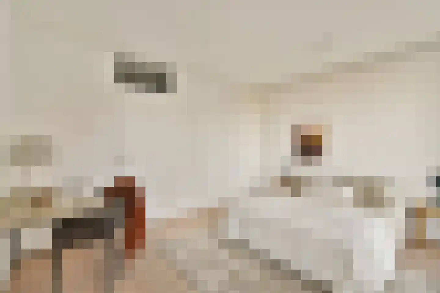 Paardenstraat 64 Amsterdam thumbnail 4