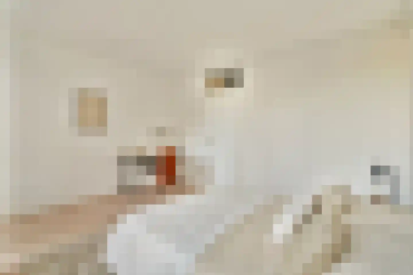 Paardenstraat 64 Amsterdam thumbnail 8