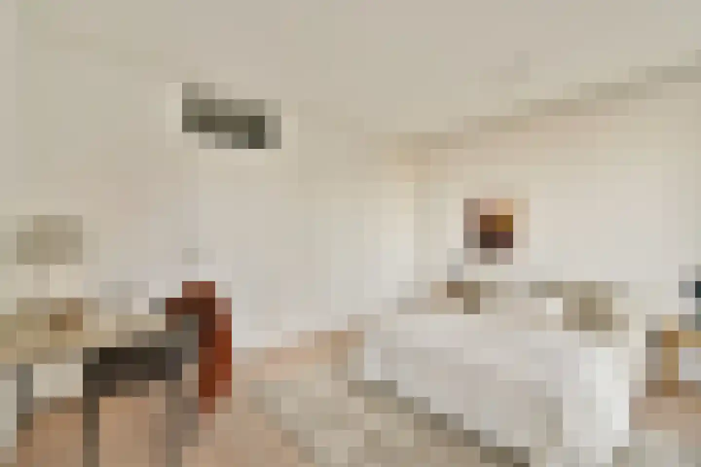 Paardenstraat 64 Amsterdam thumbnail 9