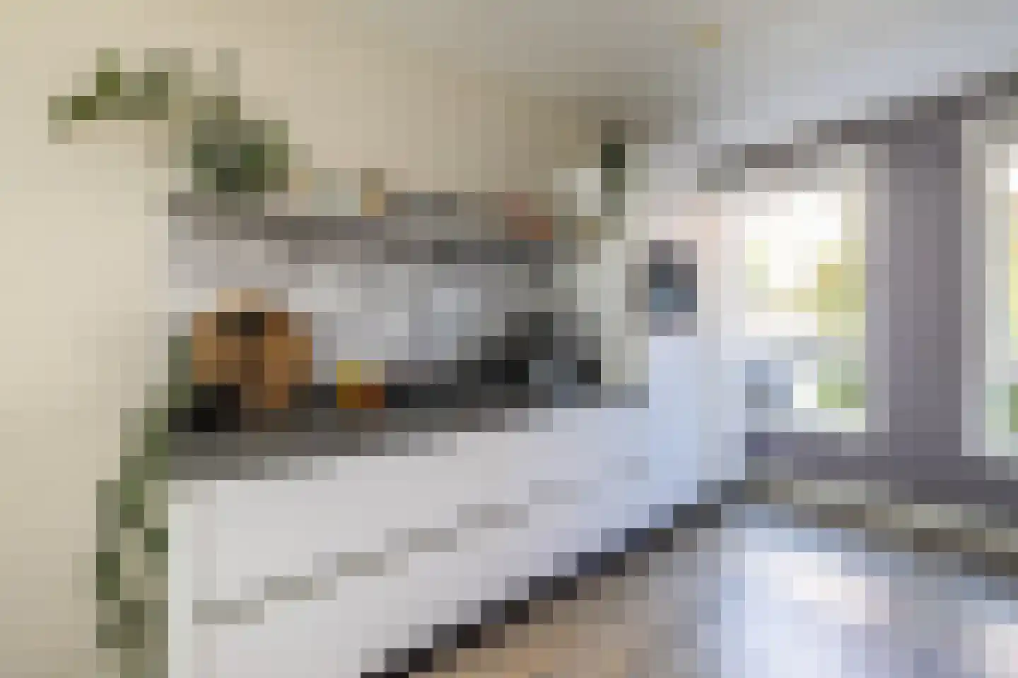 Paardentramhof 4 Leiden thumbnail 16