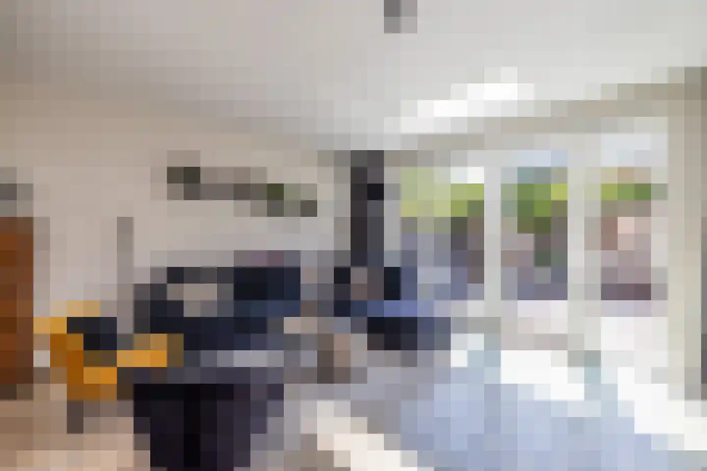 Paardentramhof 4 Leiden thumbnail 20