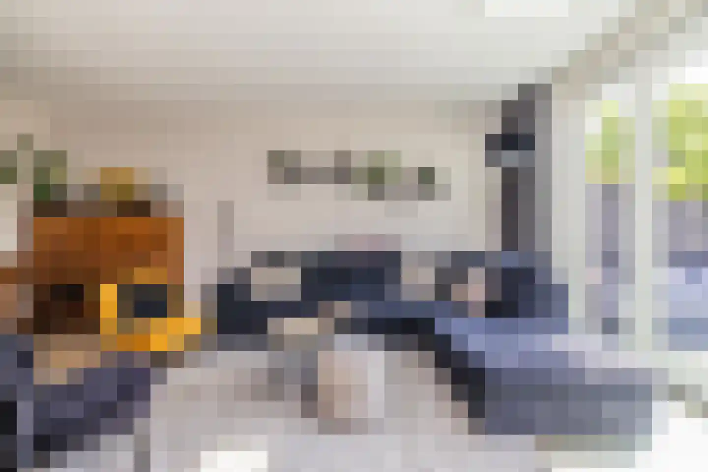 Paardentramhof 4 Leiden thumbnail 21