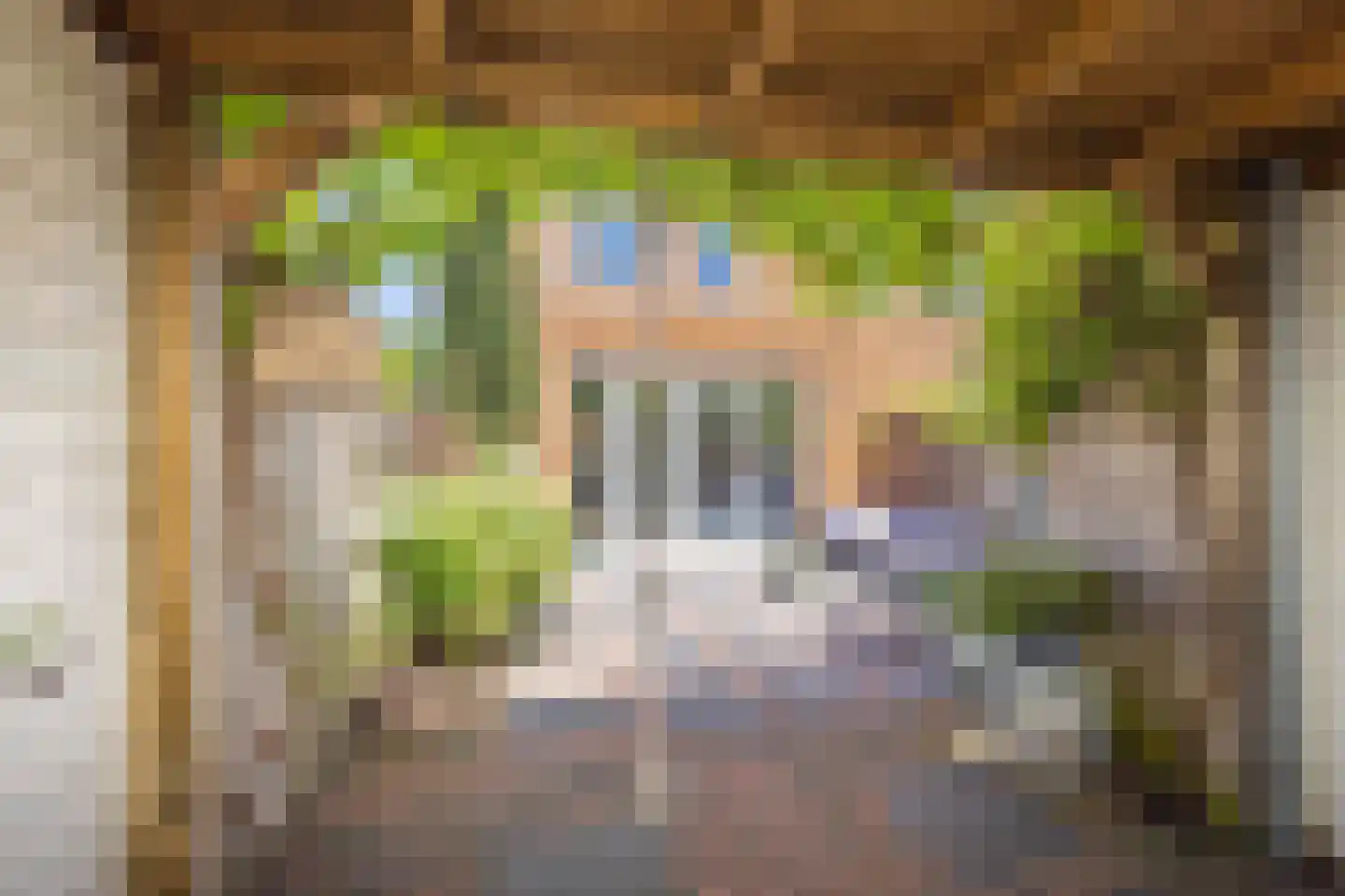 Paardentramhof 4 Leiden thumbnail 28