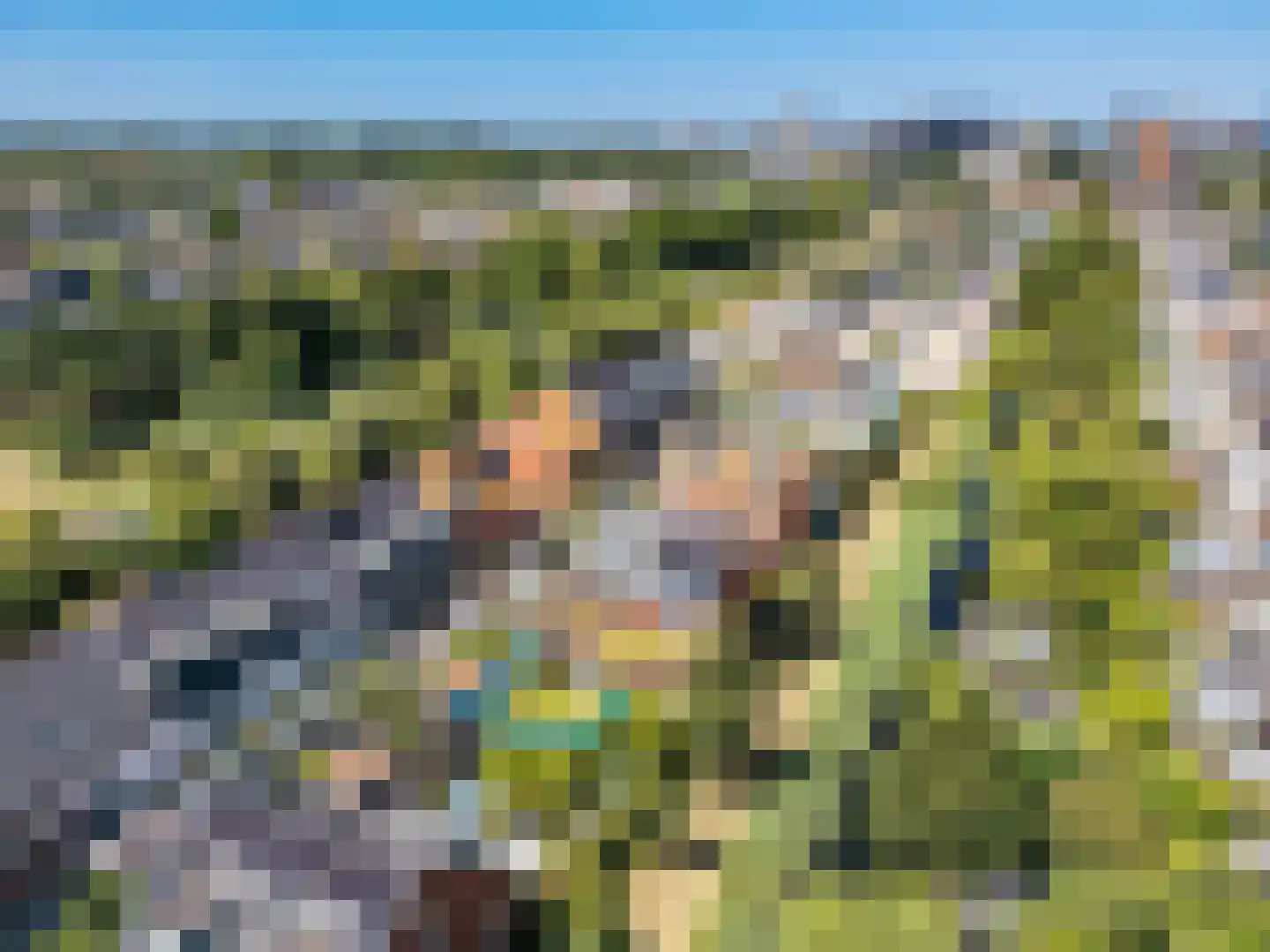 Paardentramhof 4 Leiden thumbnail 31