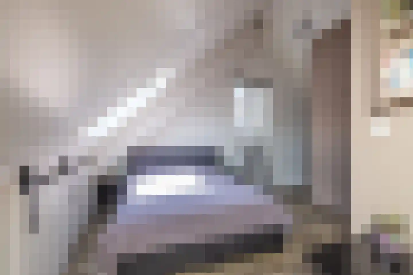 Paardentramhof 4 Leiden thumbnail 49