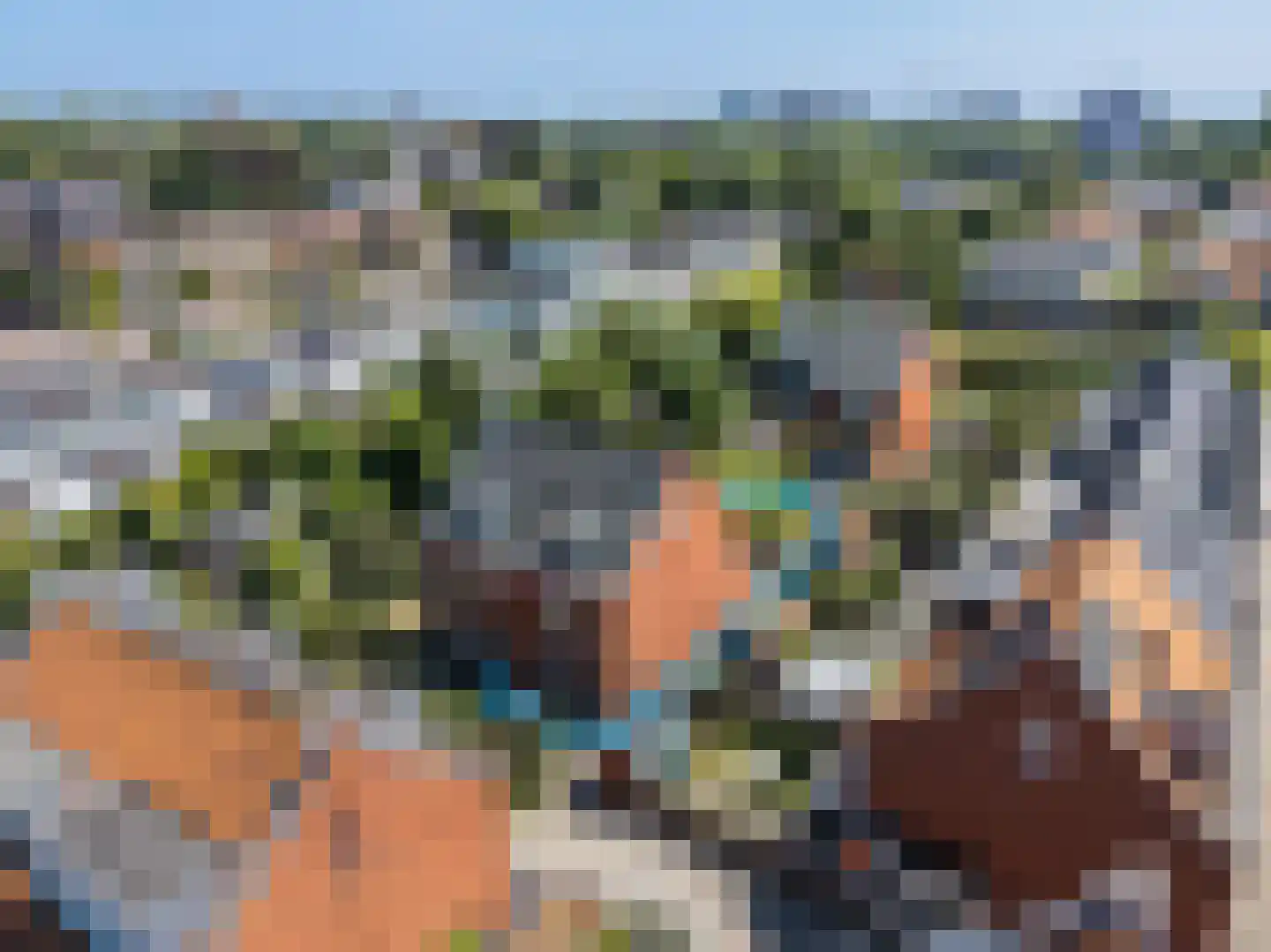 Paardentramhof 4 Leiden thumbnail 5