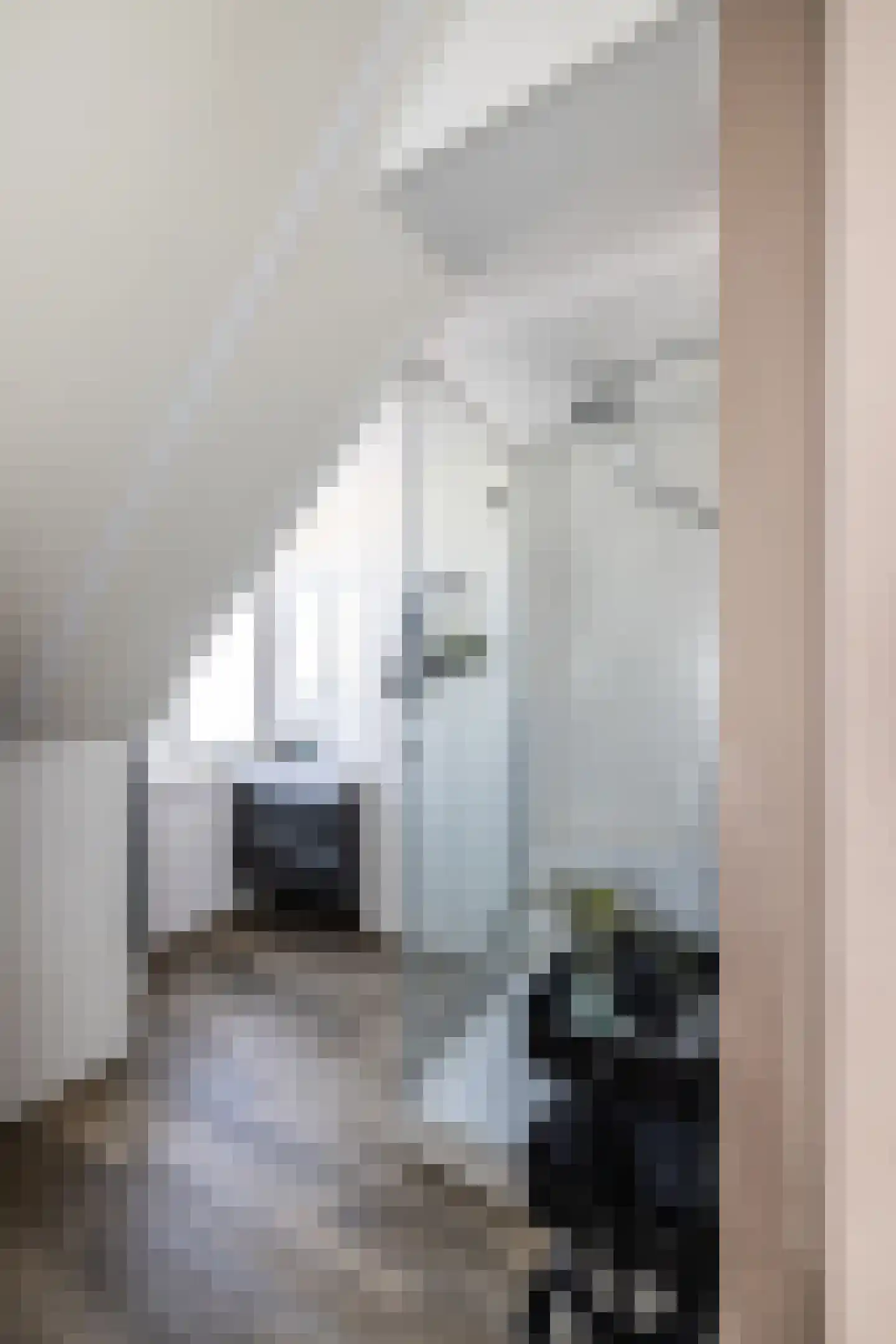 Paardentramhof 4 Leiden thumbnail 52