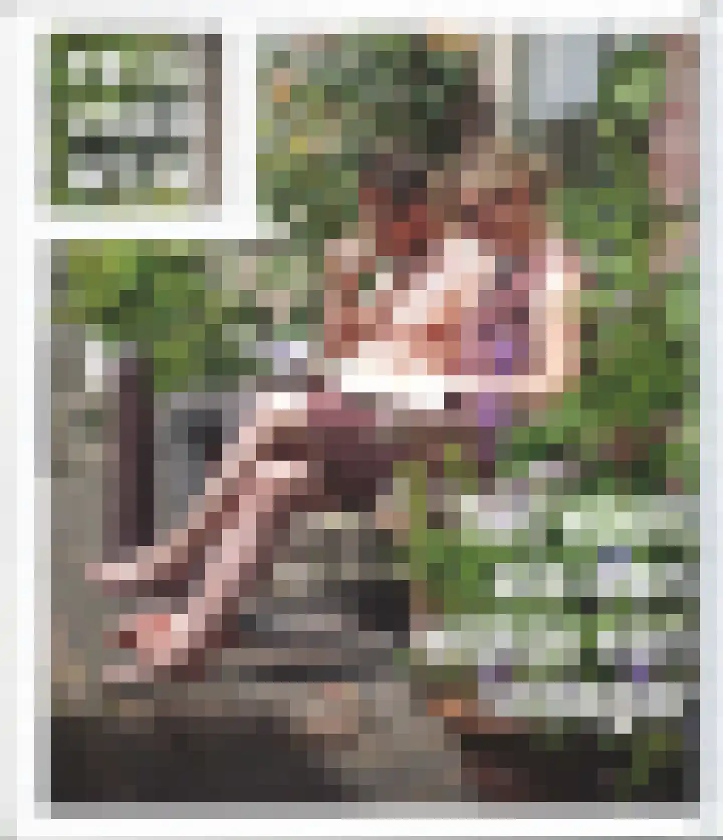 Paardentramhof 4 Leiden thumbnail 6