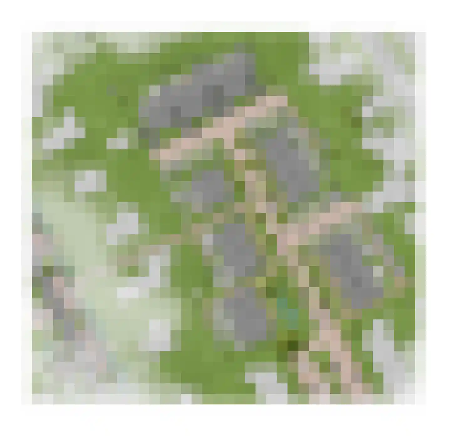 Paardenwei 12 Lunteren thumbnail 6