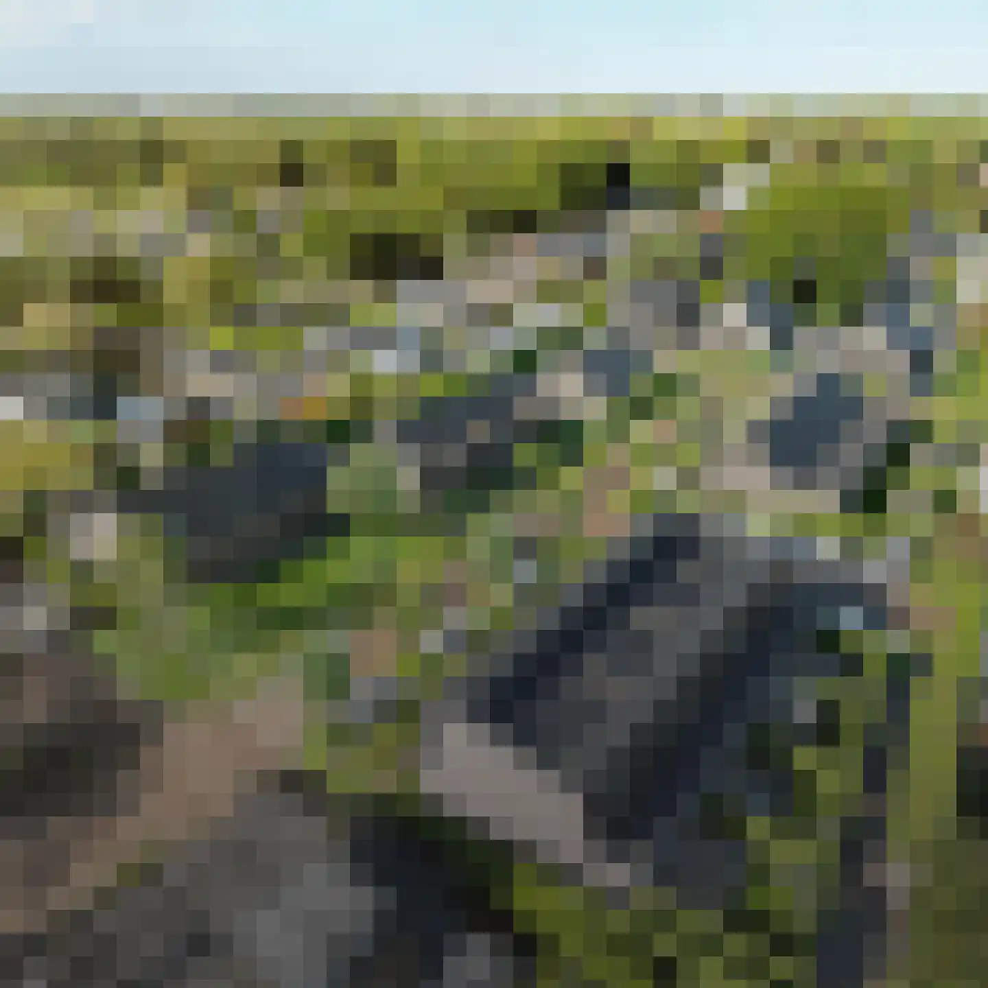 Paardenwei 16 Lunteren thumbnail 5