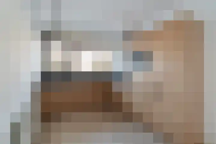 Paardenwei 23 Lunteren thumbnail 5