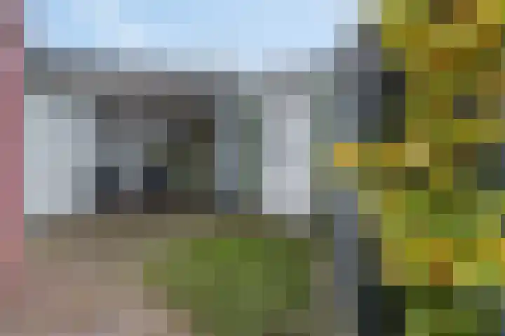 Paardenwei 3 Lunteren thumbnail 17