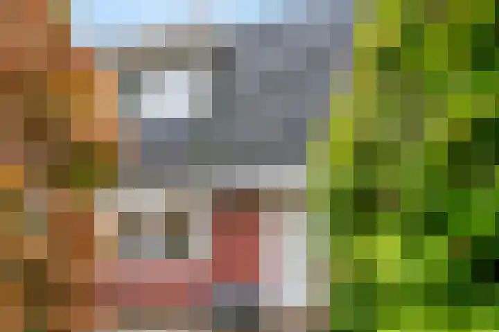 Paardenwei 3 Lunteren thumbnail 21