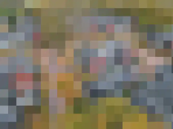 Paardenwei 3 Lunteren thumbnail 23