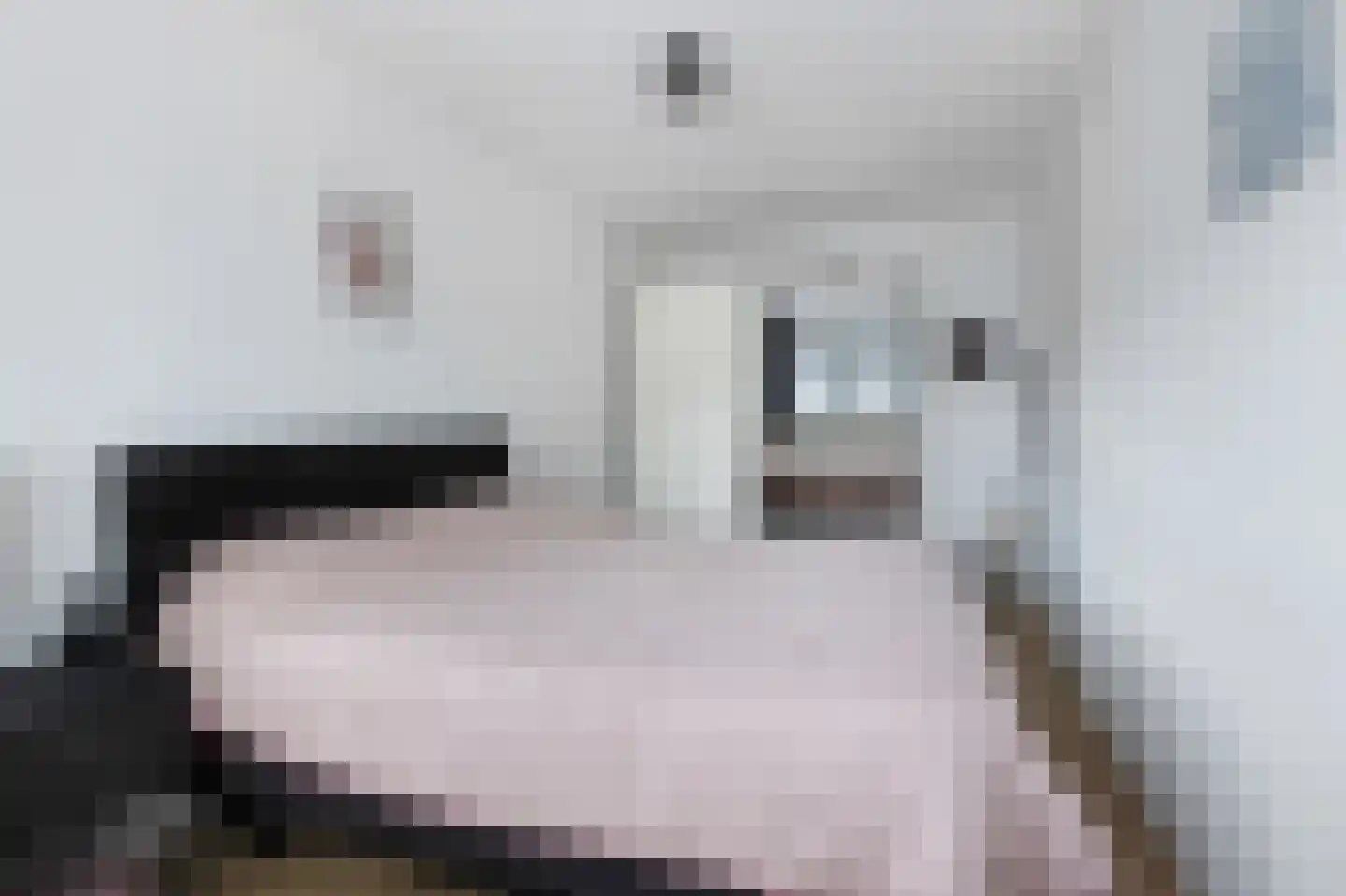 Paardenwei 4 Lunteren thumbnail 12