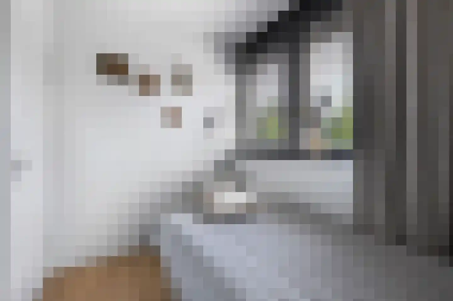 Paardenwei 4 Lunteren thumbnail 14
