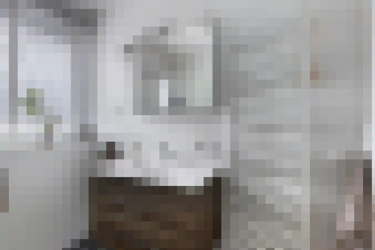 Paardenwei 4 Lunteren thumbnail 16
