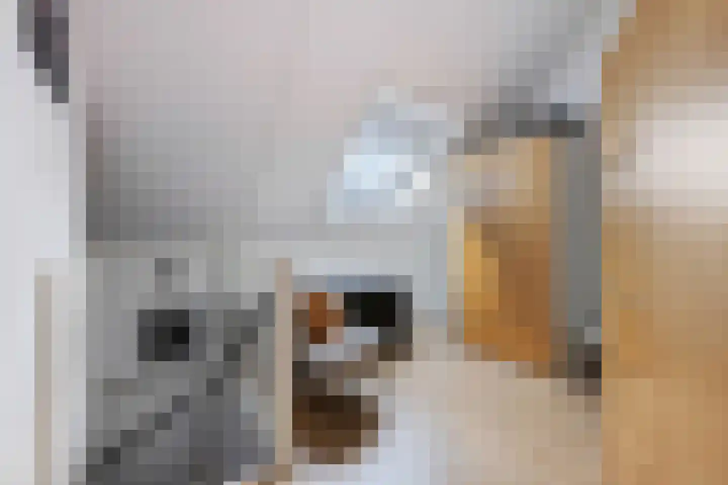 Paardenwei 4 Lunteren thumbnail 18
