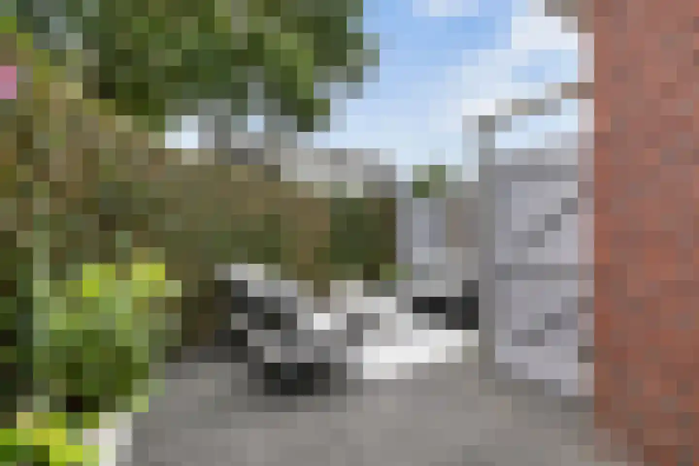 Paardenwei 4 Lunteren thumbnail 24
