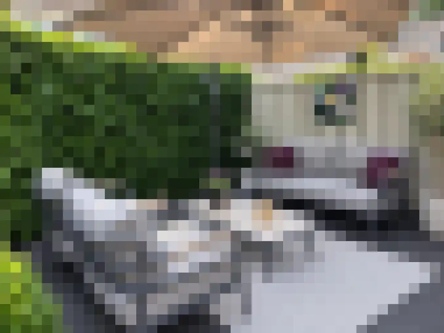 Paardenwei 4 Lunteren thumbnail 26
