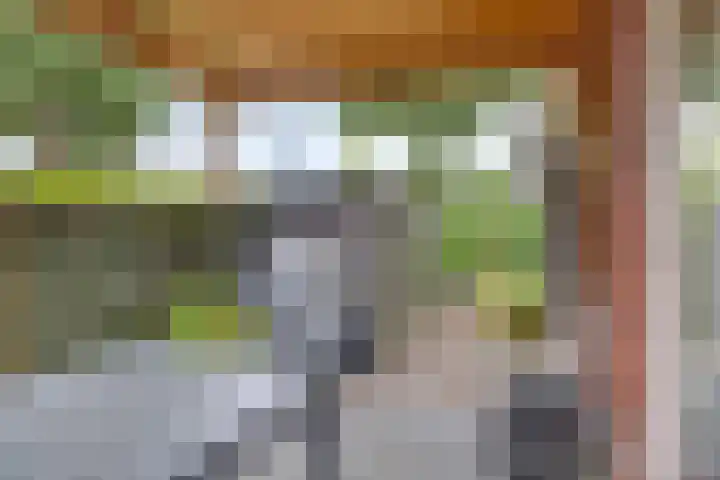 Paardenwei 53 Lunteren thumbnail 21