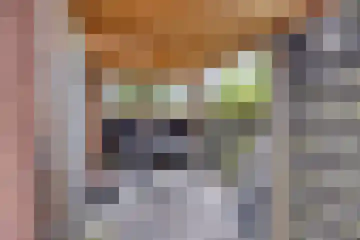 Paardenwei 53 Lunteren thumbnail 22